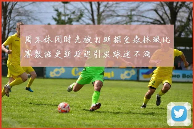 周末休闲时光被打断掘金森林狼比赛数据更新延迟引发球迷不满