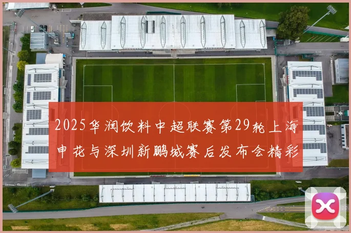 2025华润饮料中超联赛第29轮上海申花与深圳新鹏城赛后发布会精彩回顾与分析