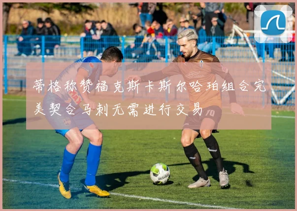 蒂格称赞福克斯卡斯尔哈珀组合完美契合马刺无需进行交易