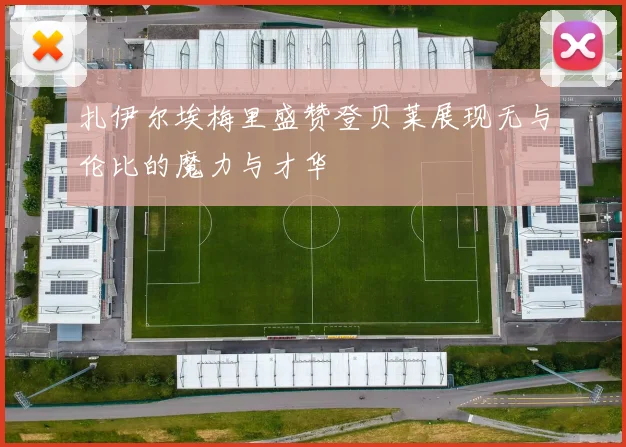 扎伊尔埃梅里盛赞登贝莱展现无与伦比的魔力与才华